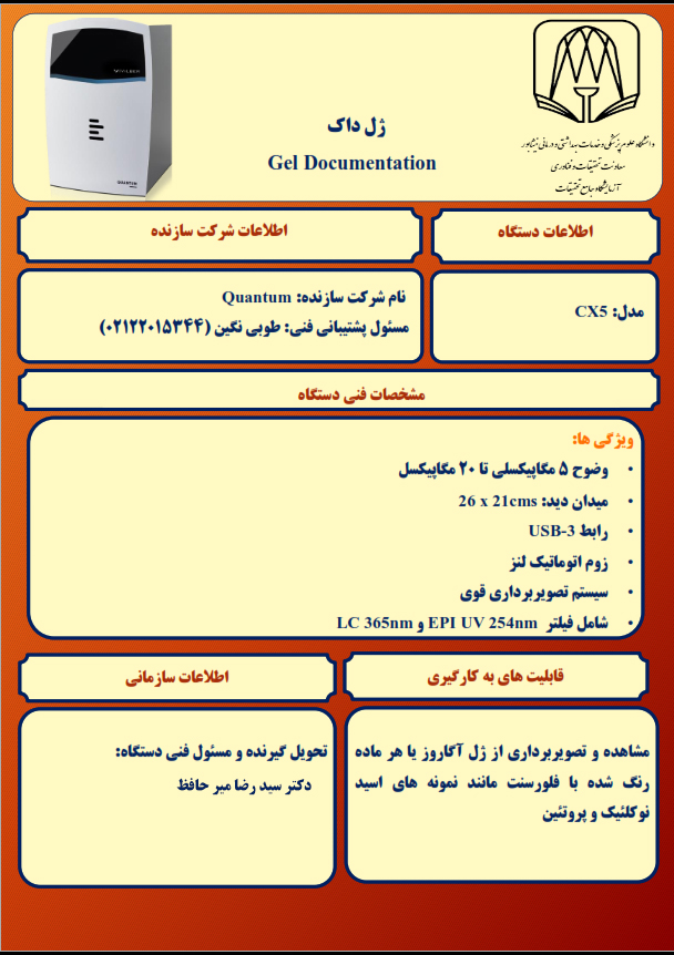 gel copy